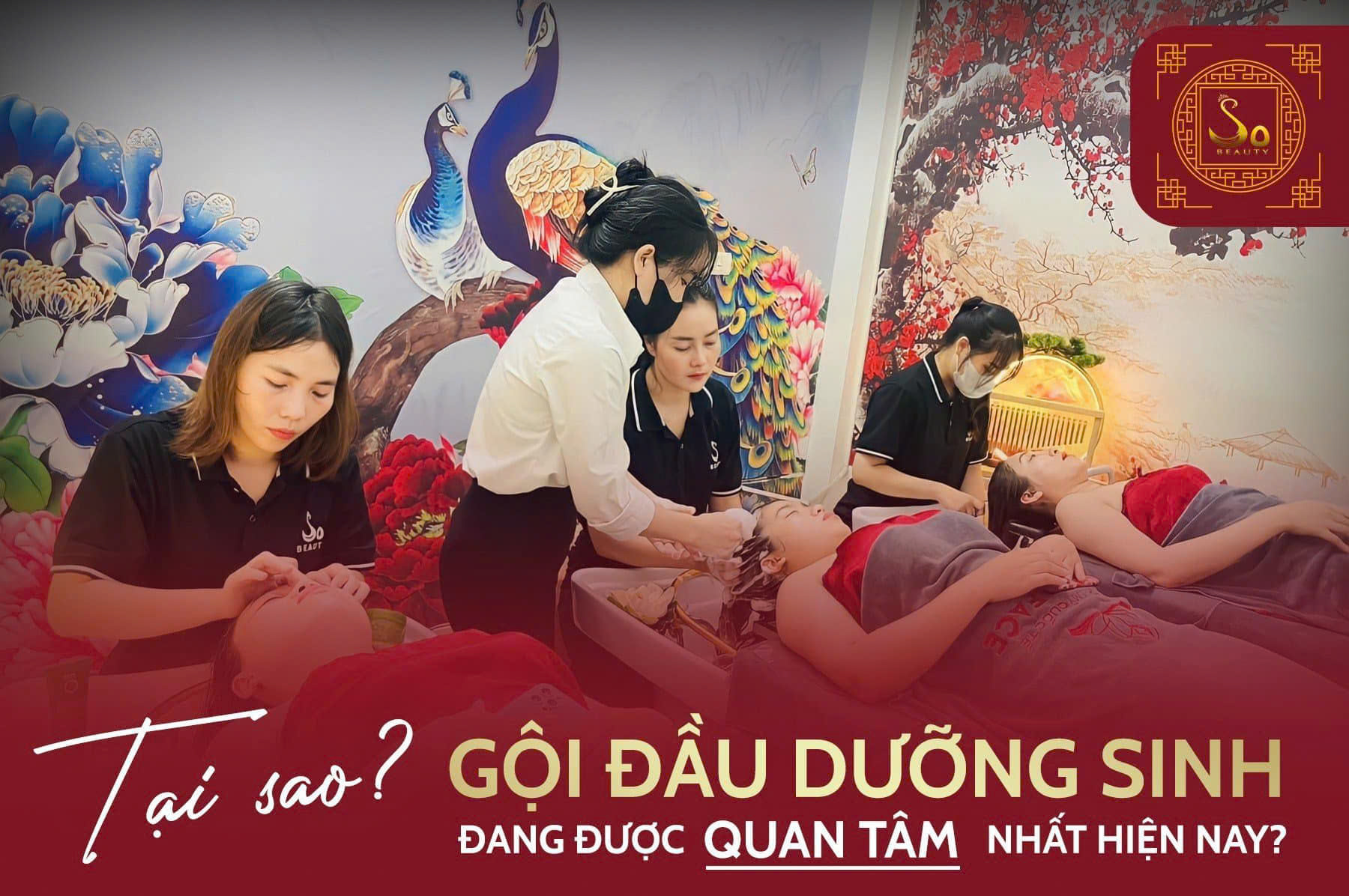 Khởi Nghiệp Dưỡng Sinh Đông Y Chỉ Với 2 Triệu?